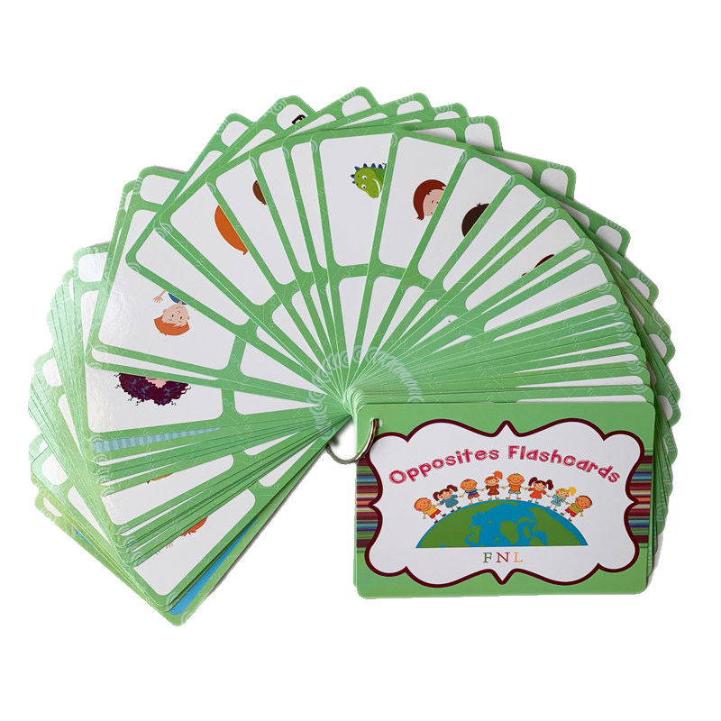The 100 Groups Opposites Flash - Kids Education And You ulasan dan harga