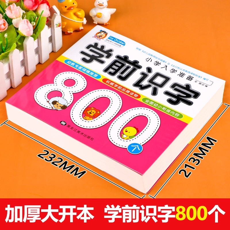 Preschool Literacy: 800 Chines - Kids Education And You ulasan dan harga