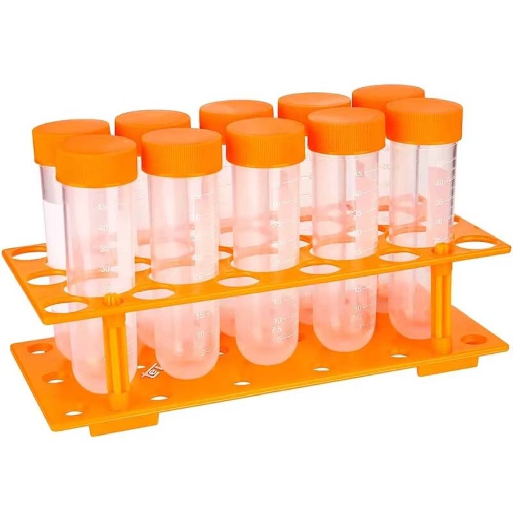 Learning Kids Test Tubes Educa - Kids Education Youtube ulasan dan harga